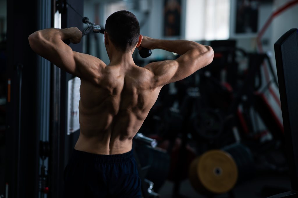 Muscle growth